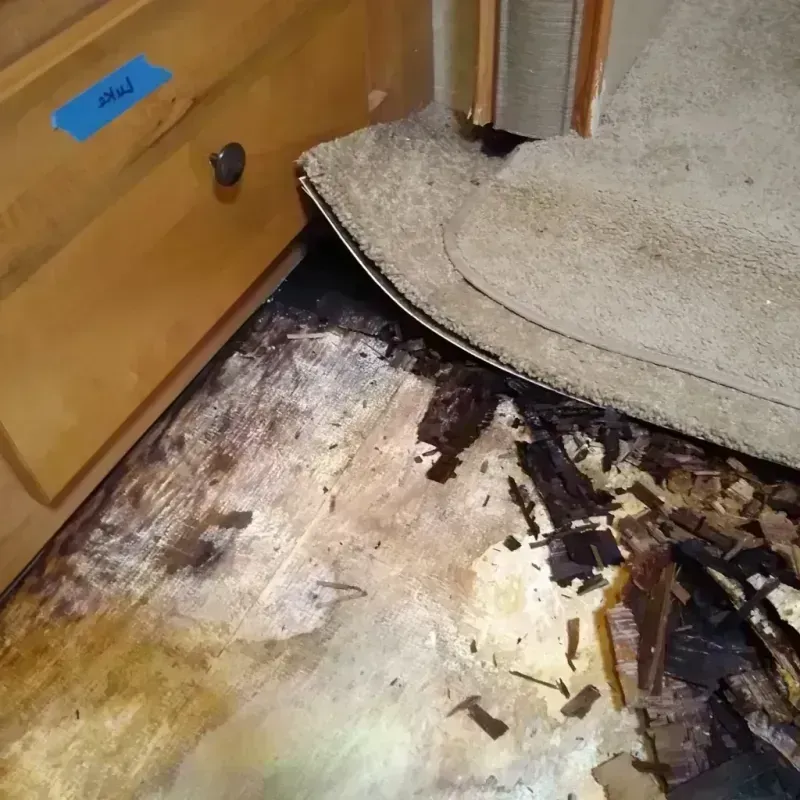 Best Wood Floor Water Damage Service in Astoria, IL